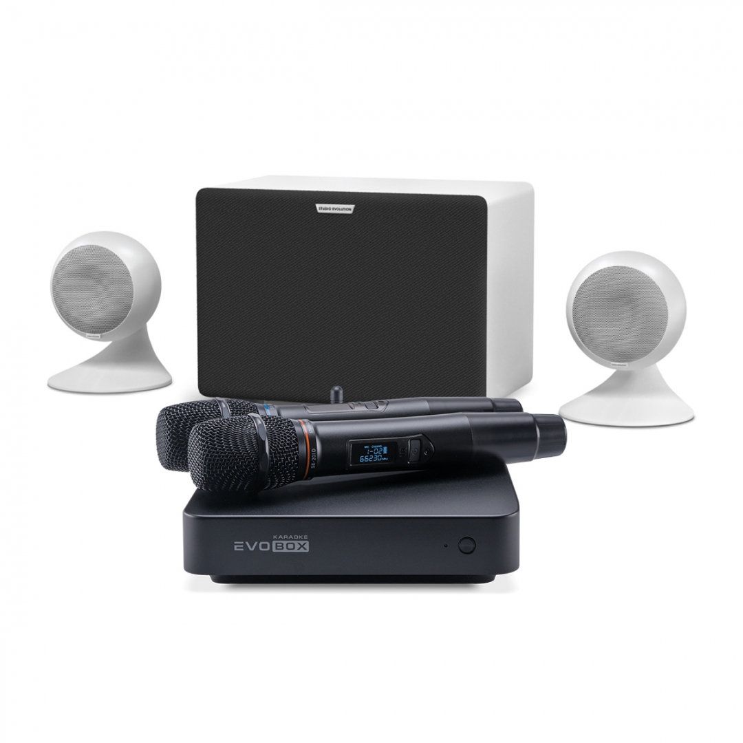 караоке-комплект EVOBOX Classic + EvoSound Sphere 2.1 в Нахабино