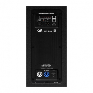 Активная акустическая система AST-310A в Нахабино